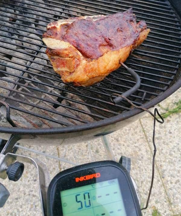Termometro per carne