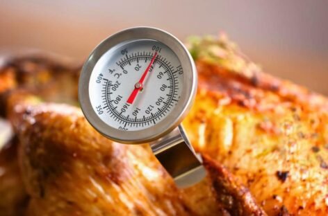 Temperatura di cottura del pollo: la guida completa per una cottura sicura e gustosa